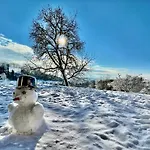 Dead Fox Na Samote Vichova nad Jizerou