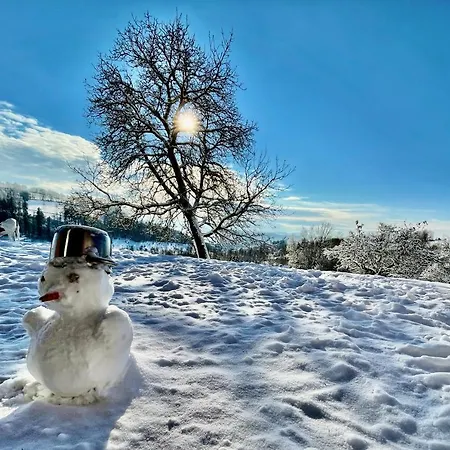 Dead Fox Na Samote Vichova nad Jizerou