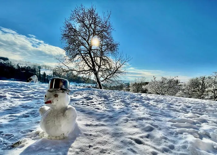 Dead Fox Na Samote Vichova nad Jizerou