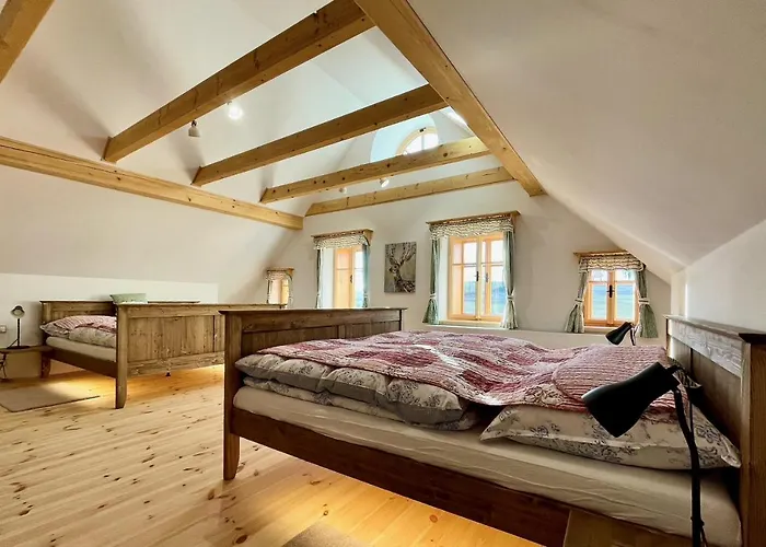 Dead Fox Na Samote * Vichova nad Jizerou